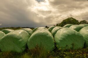 JP Morgan aposta em alta de até 36,5% na SLC Agrícola: fim da crise no agro?