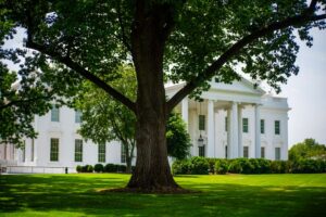 Trump Inicia Investigação Contra Diretora do Fed Lisa Cook Antes das Eleições