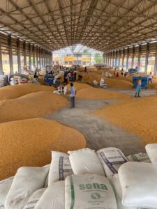 Produção de milho na China cresce; importações dos EUA ainda não são viáveis