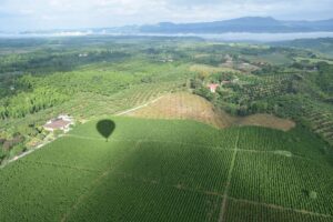 CRAs da Ruiz Coffees podem garantir até 2,6 mil hectares para fundos de investimento