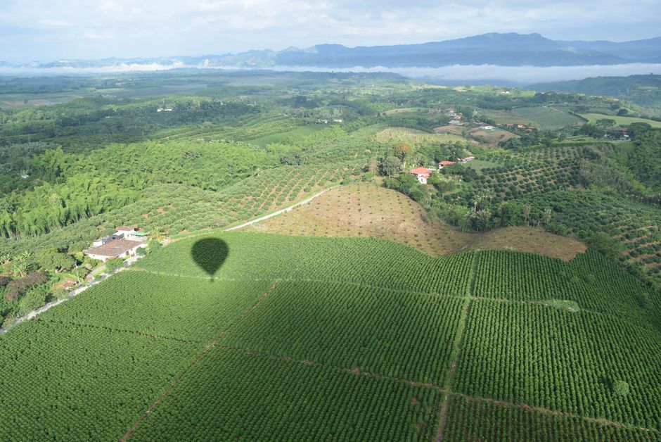 CRAs da Ruiz Coffees podem garantir até 2,6 mil hectares para fundos de investimento
