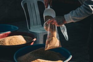 Mercado agrícola brilha: trigo, soja e açúcar lideram ganhos em 2024
