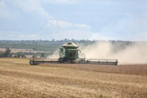 Safra de soja no Brasil pode cair 10% em 2026/27 por causa do El Niño
