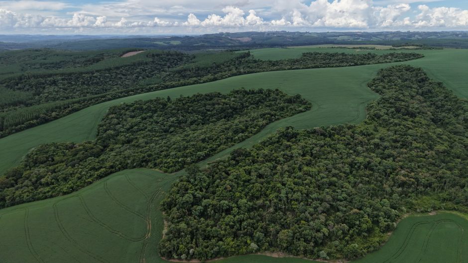 Novo cronograma para mercado regulado de carbono no Brasil: impactos e prazos